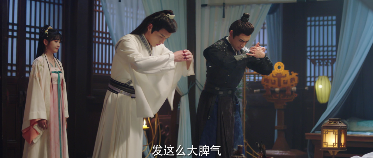我的医妃不好惹2 16集