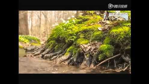 [图]《秋水悠悠》古琴、箫