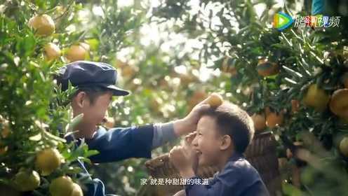 央视春节公益广告 《梦想照进故乡》之甜蜜的事业