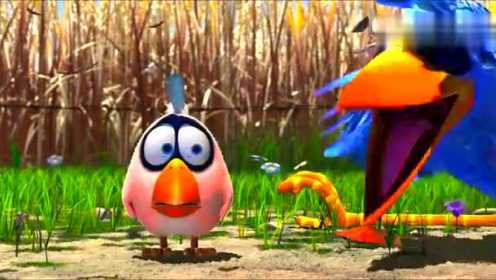 奥斯卡最佳动画短片《鸟！鸟！鸟！》