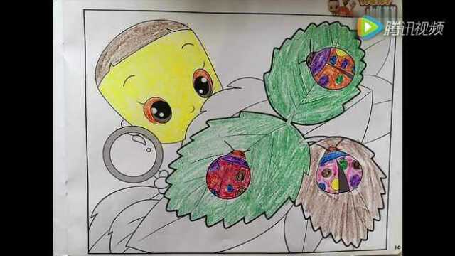 小熊尼奥《神笔立体画》给你不一样的绘画体验