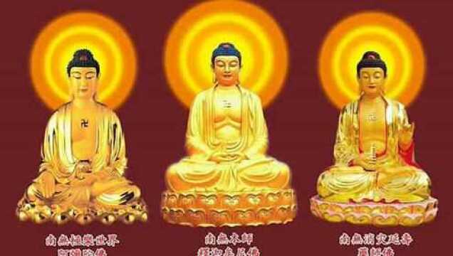 南无阿弥陀佛佛号唱诵 (庄严) 念佛是世界最大的为你祈福平安_腾讯视频