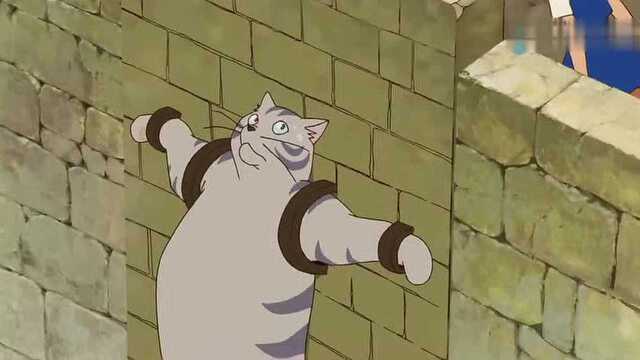 猫王国的士兵们智商不够用国王气得炸毛了