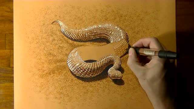 立体画教程3d画蛇图片