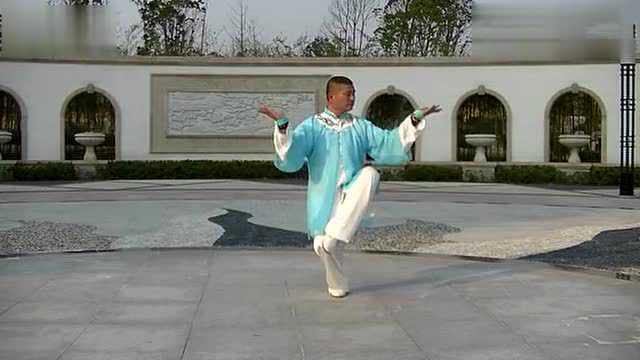 观音禅拳(陈勇演练)