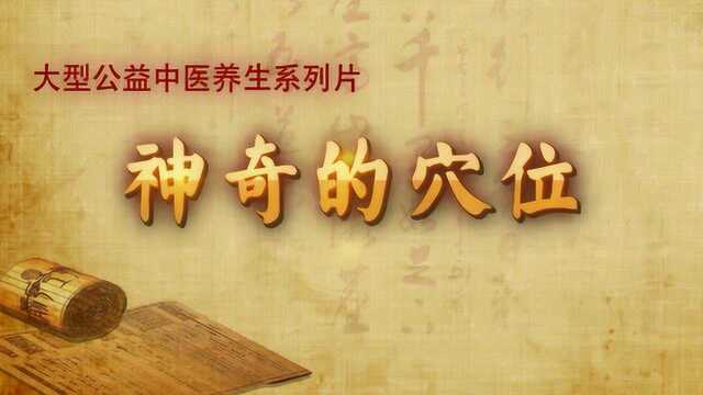 神奇的穴位之章门穴:补五脏六腑、疏肝健脾章门穴!_高清1080P在线观看平台_腾讯视频