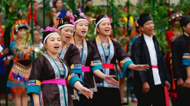 乡音直播秀云南马关壮族盛大三月三歌舞节直播现场下午场