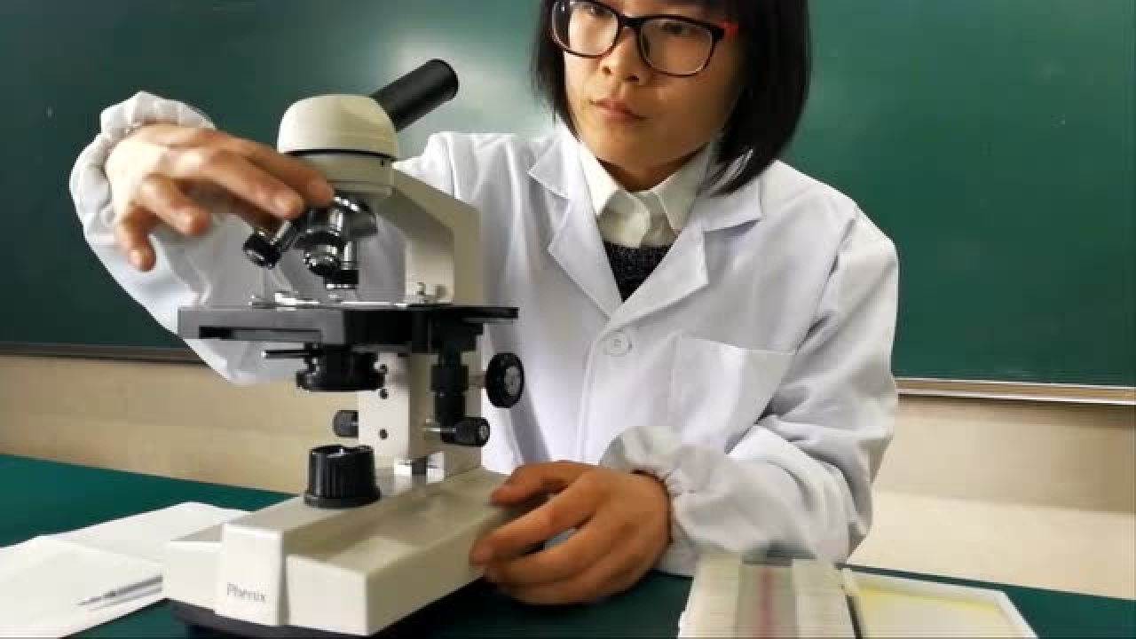 1080P 1080p