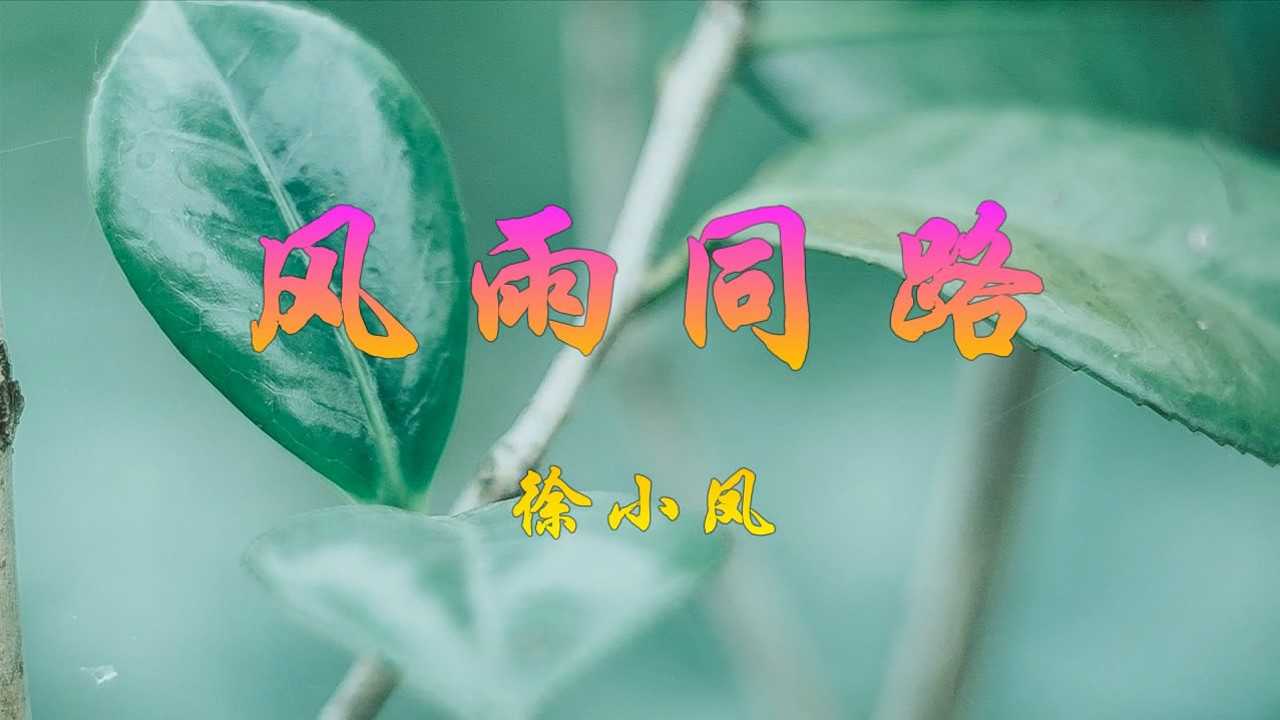 经典金曲风雨同路歌坛天后徐小凤演唱太好听了