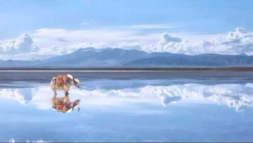 踏上“天空之镜” 感受绝美茶卡盐湖