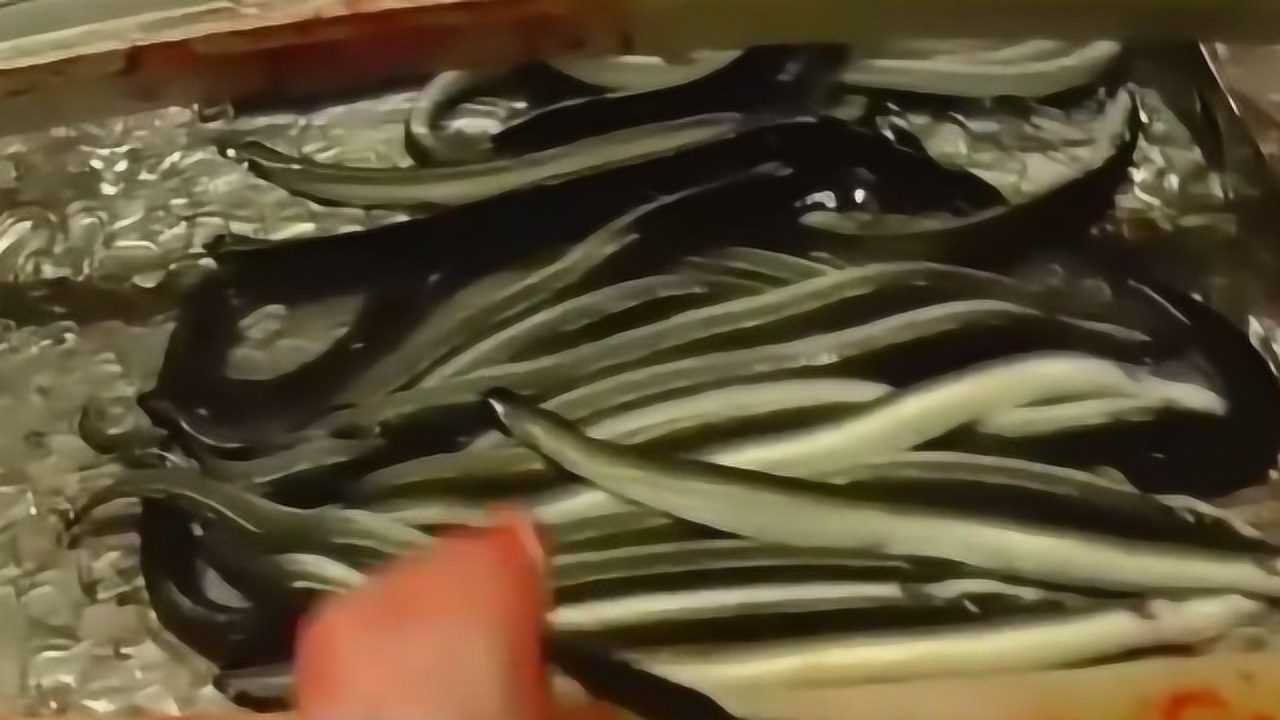 达人五秒宰杀一条黄鳝,这刀工快到看不清楚_高清1080P在线观看平台_腾讯视频