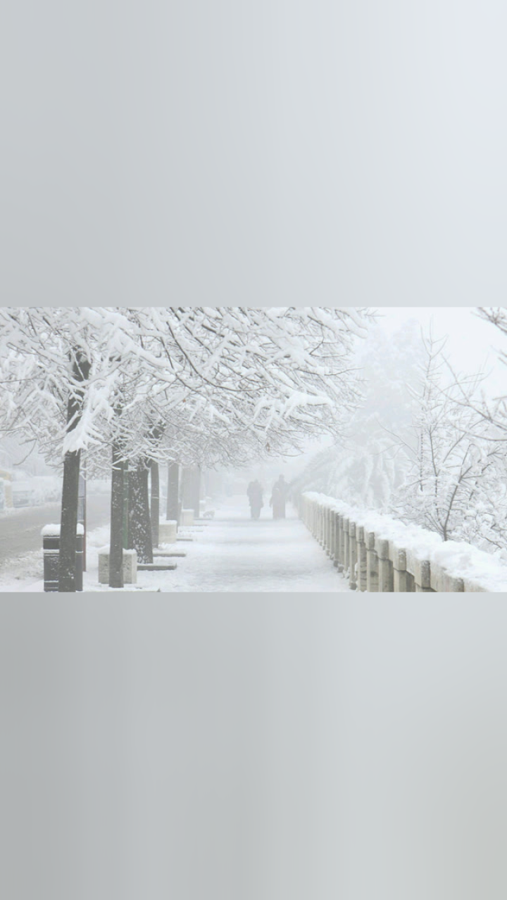 家乡大雪纷飞是否让你想起了谁进来和雪人一起放飞回忆