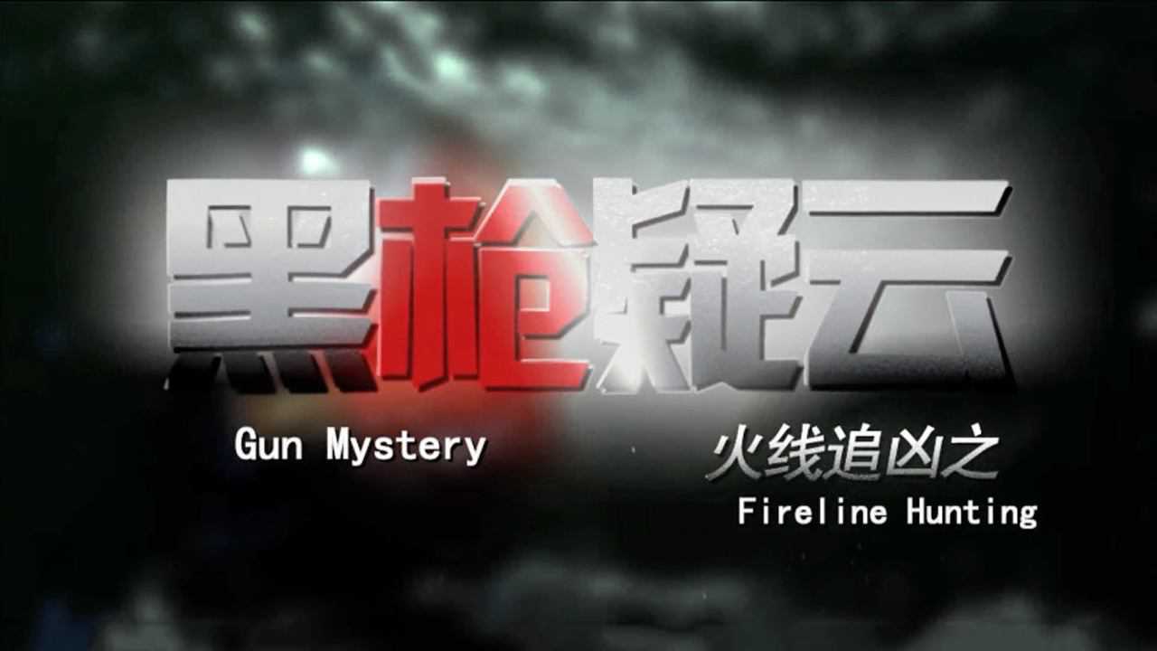火线追凶之黑枪疑云精简版钟汉良不放过任何一个细节