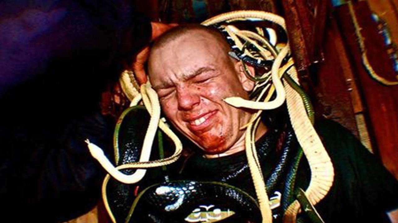 腾讯视频-中国领先的在线视频媒体平台,海量高清视频在线观看