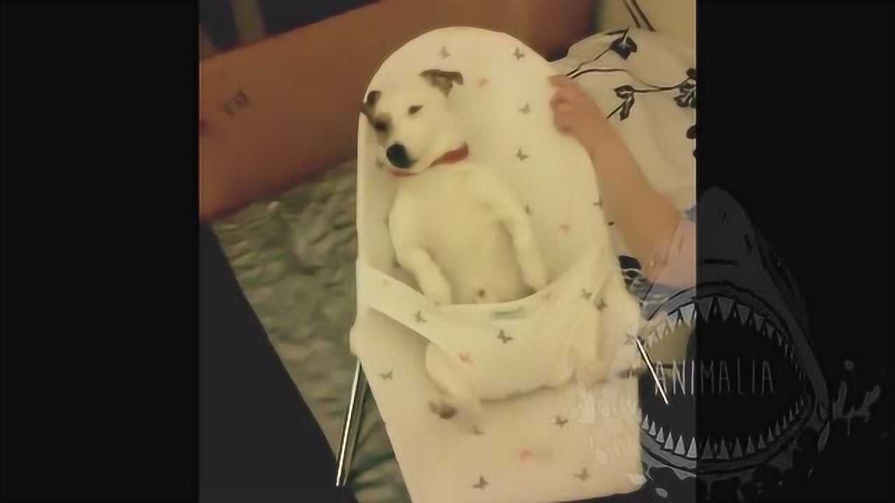 腾讯视频