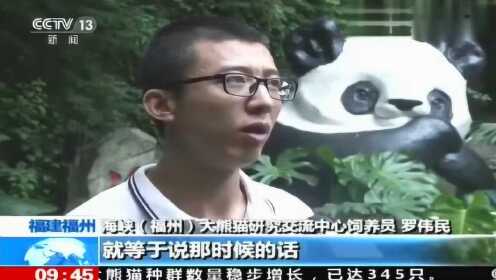 【大熊猫巴斯】——熊猫“巴斯”生命最后的100天