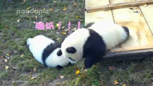 【萌兰】大熊猫 萌三么么儿在大话熊猫中的出镜合集 后附有小彩蛋