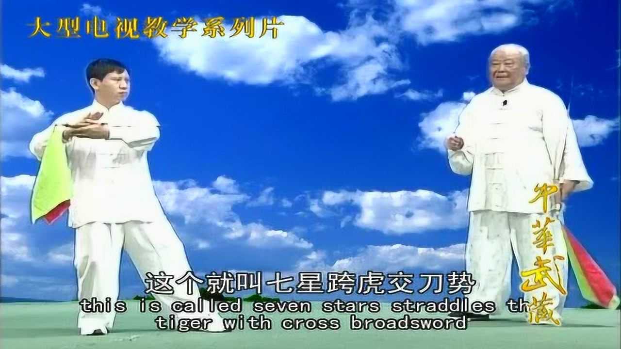 杨式太极十三刀 杨军演示 杨振铎讲解_腾讯视频