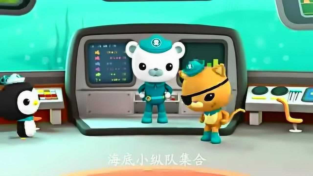 海底小纵队:隆头鹦哥鱼嘴巴硬,海底一切都能吃.