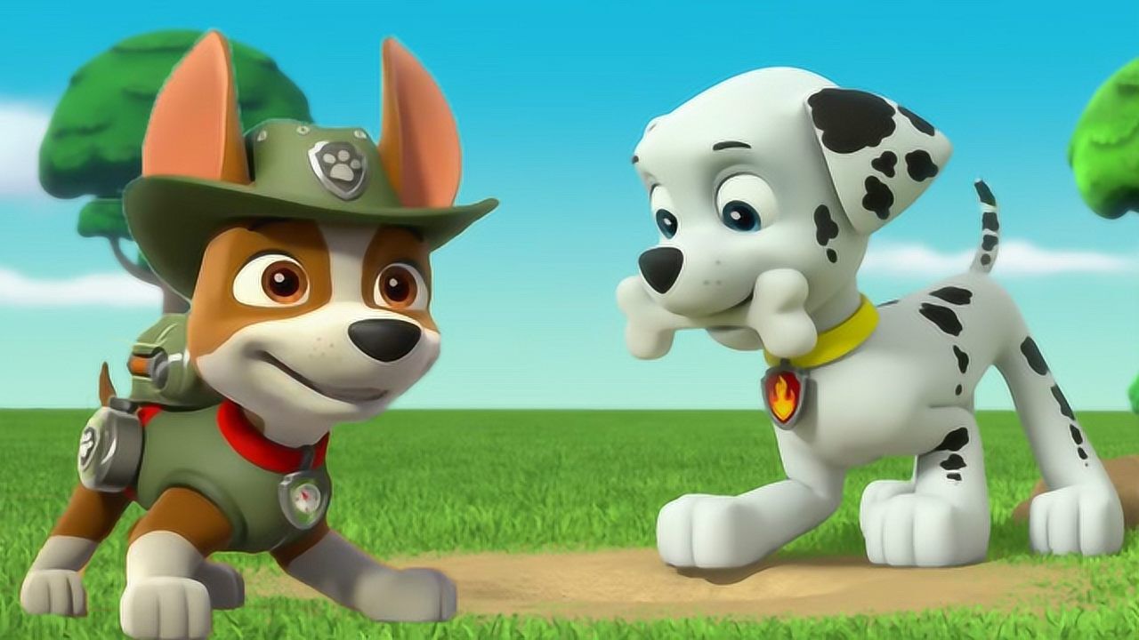 狗狗巡逻队毛毛抢骨头比赛得第一汪汪队立大功