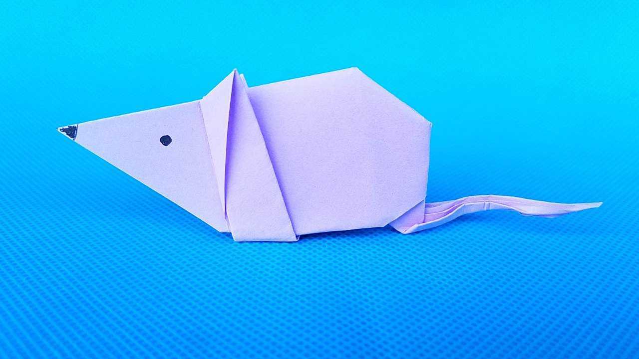 折纸王子教你折纸耗子老鼠,儿童喜欢的手工,简单易学