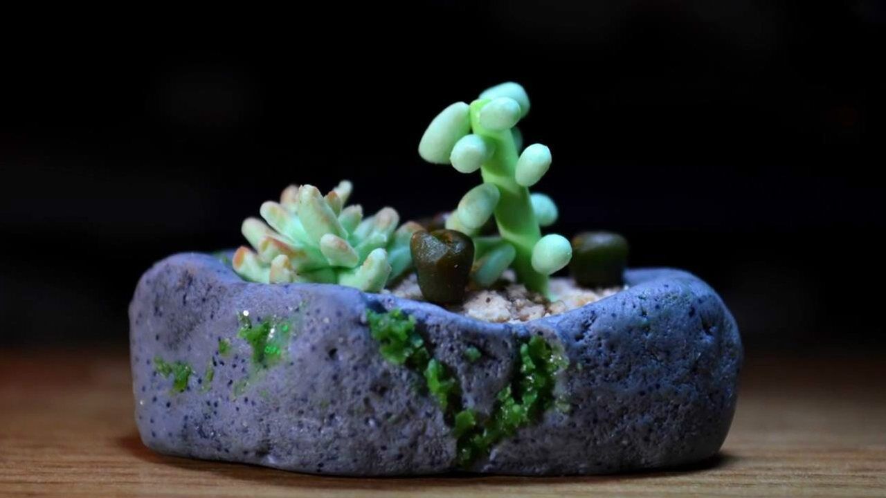 diy创意手工粘土软陶制作仿真版长在石头花盆中的多肉植物