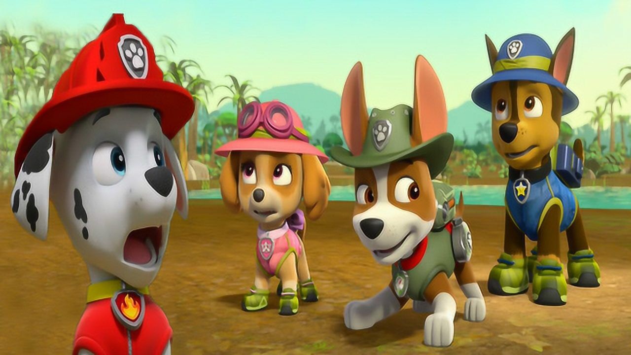 狗狗巡逻队阿奇和毛毛配合完成森林神秘任务