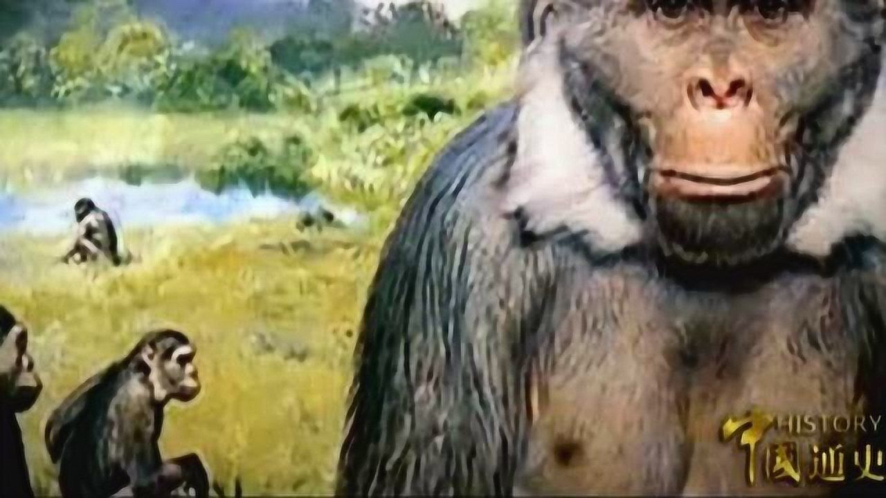 中国古代史之人类的起源与进化_高清1080P在线观看平台_腾讯视频