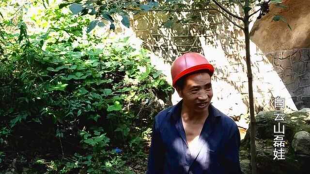 山村大叔种的这种山茱萸你见过吗?大叔说一年能卖三四千块钱