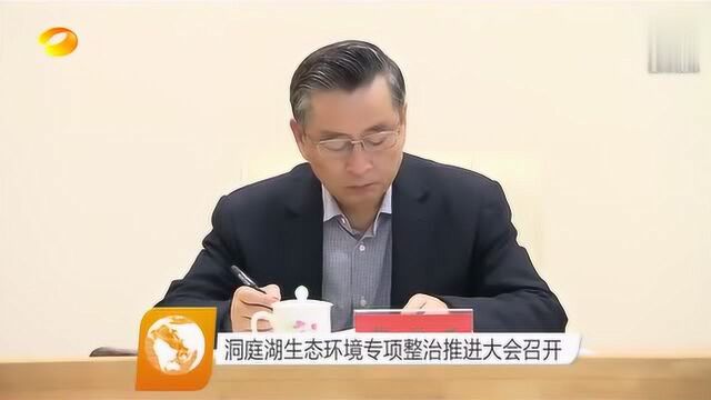 洞庭湖生态环境专项整治推进大会召开