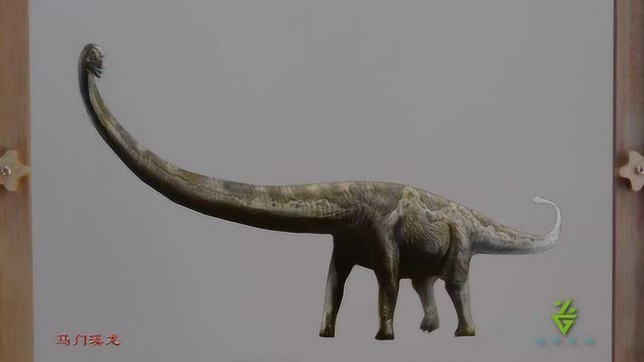 恐龙百科——马门溪龙