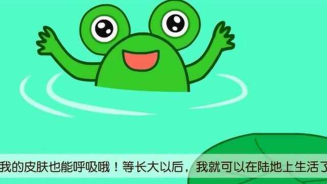 咕力咕力亲宝动画:小蝌蚪变青蛙