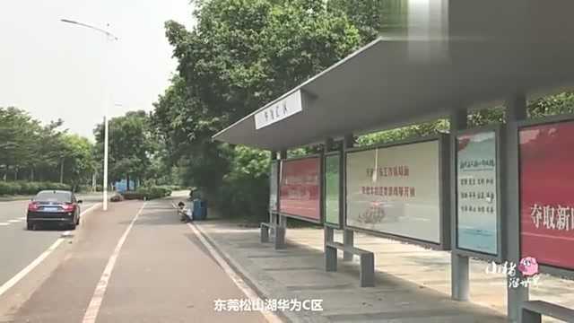 广东东莞:航拍松山湖高新技术产业区,普工基本无法适应这个环境