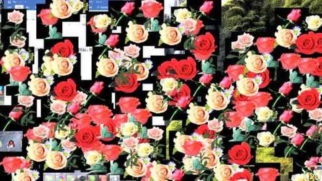 电脑满屏玫瑰花制作_腾讯视频