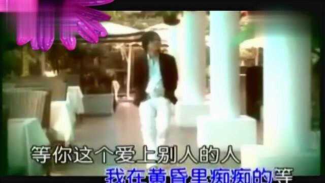 郑源《爱上别人的人》我在黄昏里痴痴的等,一首伤感好听的歌曲