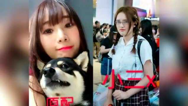 GNZ48前成员杜雨微当知名画手小三 原配错付16年