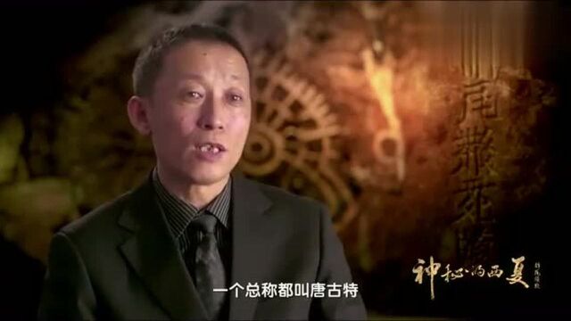 张澍发现的石碑上神秘文字就是西夏文字,难道唐古特国就是西夏?