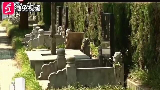 附近公墓搞扩建 自家祖坟被围挡