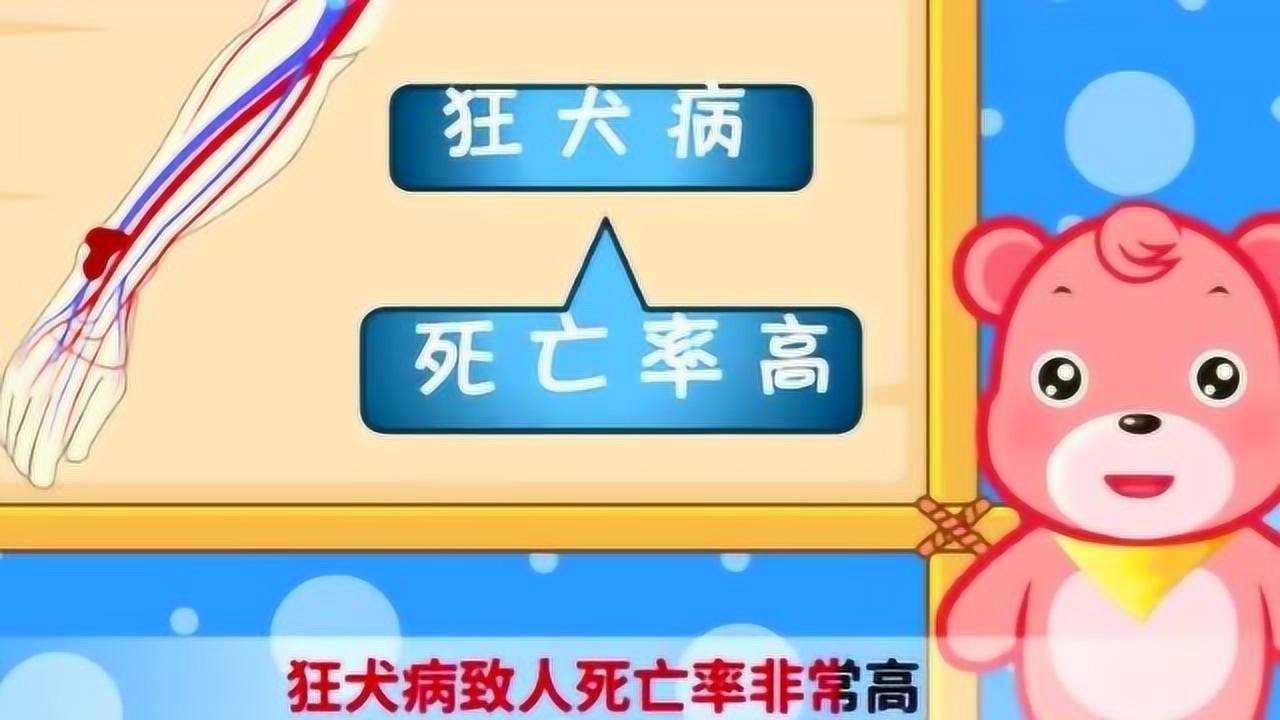 安全教育动画:被狗咬伤了怎么办_高清1080P在线观看平台_腾讯视频