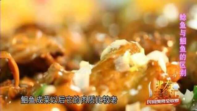 家炖鲶鱼做法公开,加入鸡肉营养翻倍味道更好