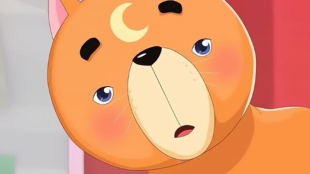 天眼归来:让小猫甜筒去捉老鼠 他居然瑟瑟发抖!