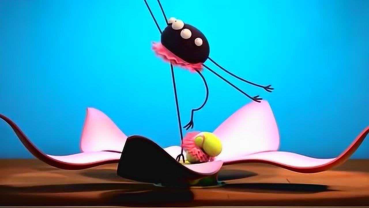 搞笑小蜘蛛小蜘蛛还没开始真正的表演花却谢了