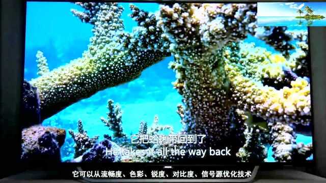 OLED电视飞利浦9002综合评测:色彩,画质全面吊打液晶电视