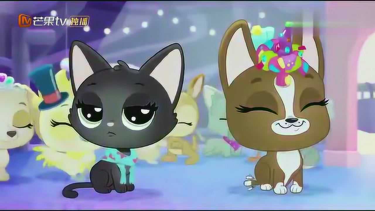 《至q宠物屋小小世界第一季》第15集看点潮流风向标