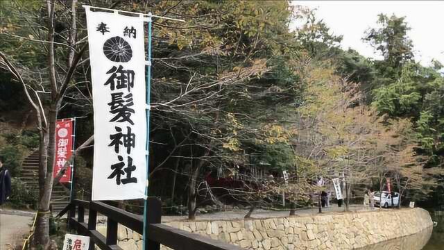 日本唯一一所守护头发的神社:可以祈求“不秃头”