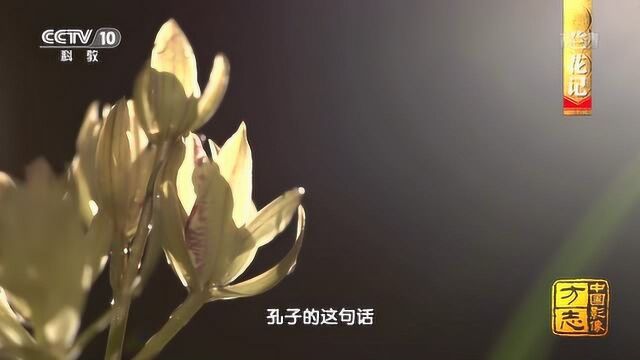 中国影像方志 南靖兰花香飘天下