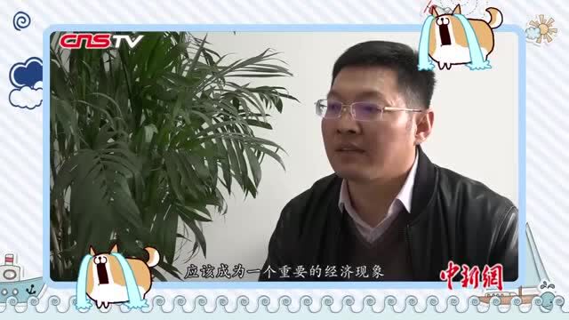 “双十一”:你过的究竟是电商节还是单身节?