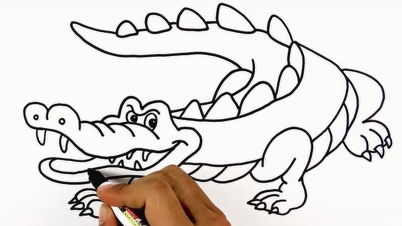 幼儿绘画:绘画鳄鱼并着色