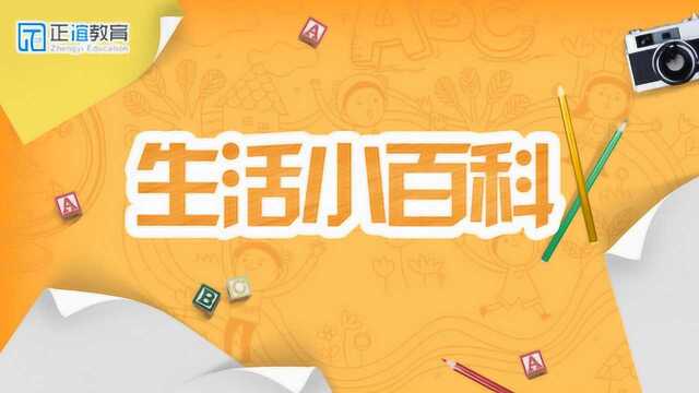 正谊教育《我是小主播》第66期:《生活小百科》