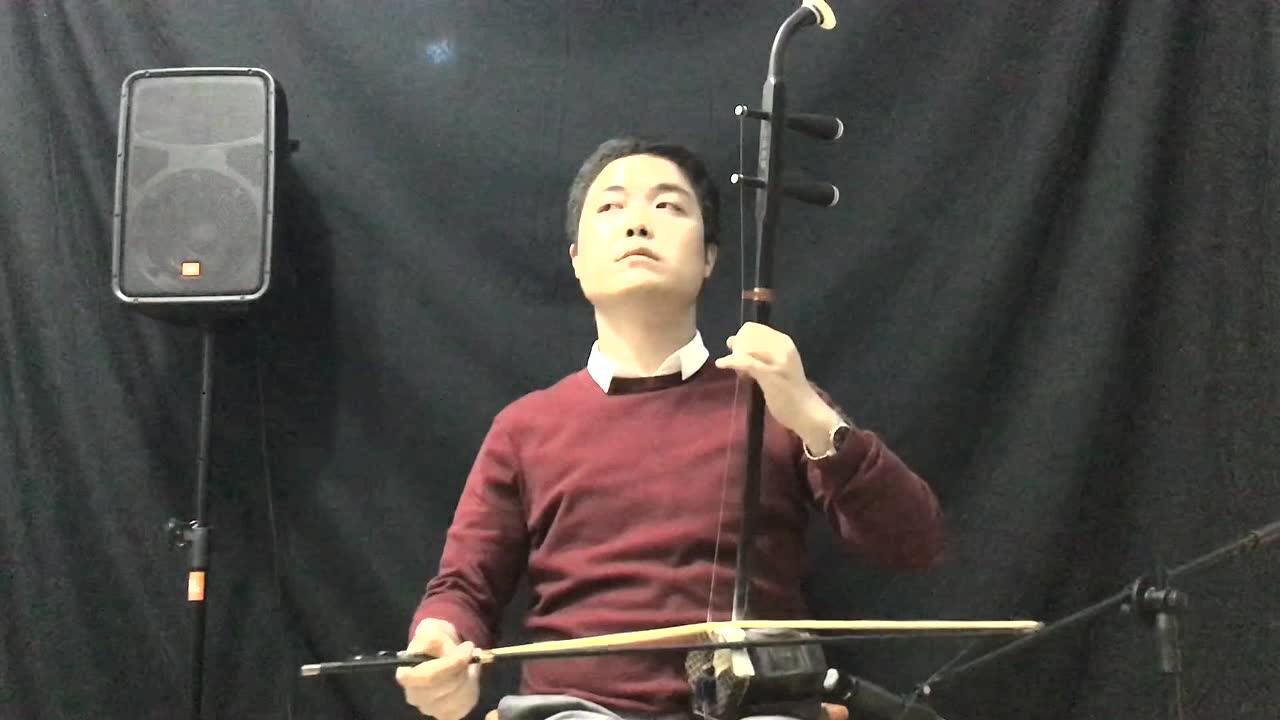 二胡《渴望》  悠悠岁月  如歌如诉